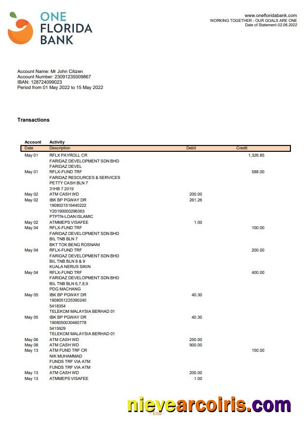 USA One Florida Bank statement